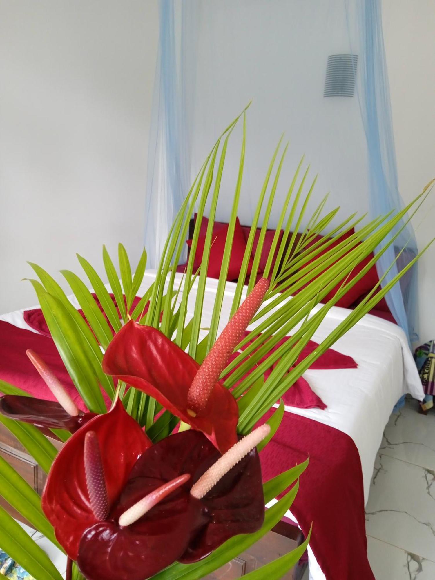 דירות אלה Nine Arch Corner מראה חיצוני תמונה